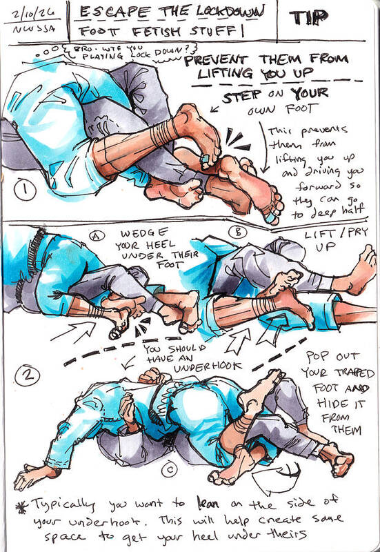 Escape Lockdown Technique Guide - Art Print